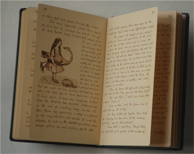 20170116 The Original Alice 5