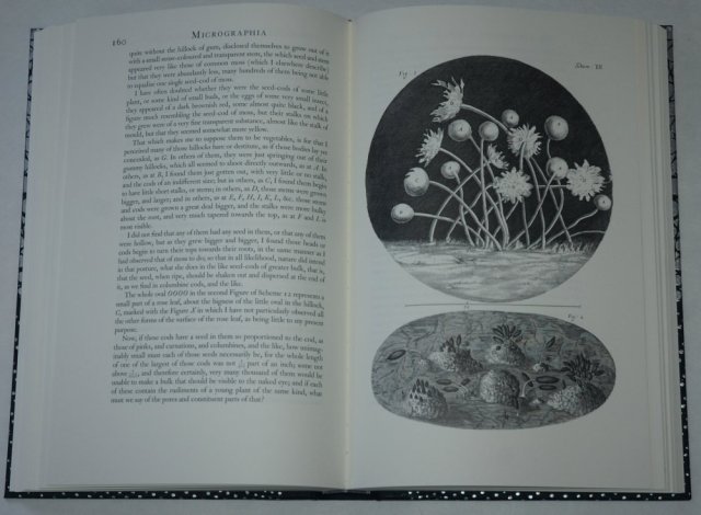 20180305 Micrographia 3