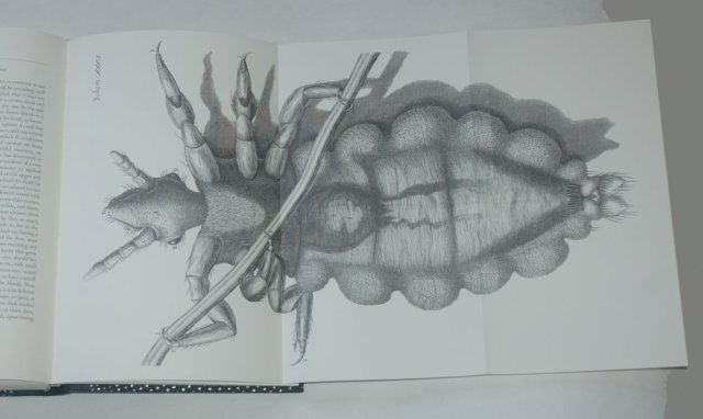 20180305 Micrographia 4