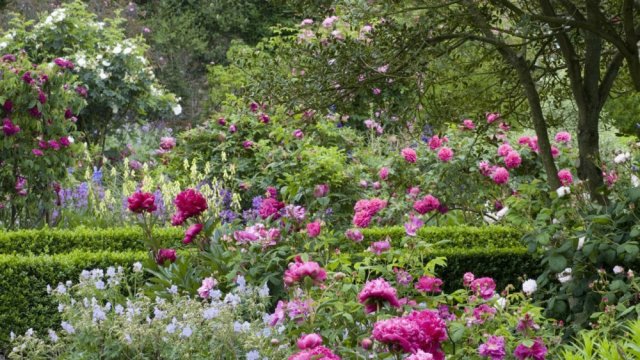 20180410 The Garden 2