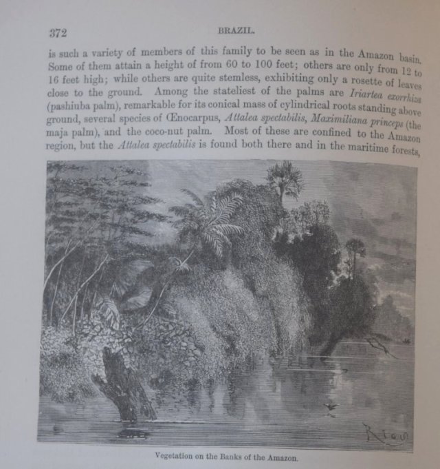 20180710 The World as it is 6