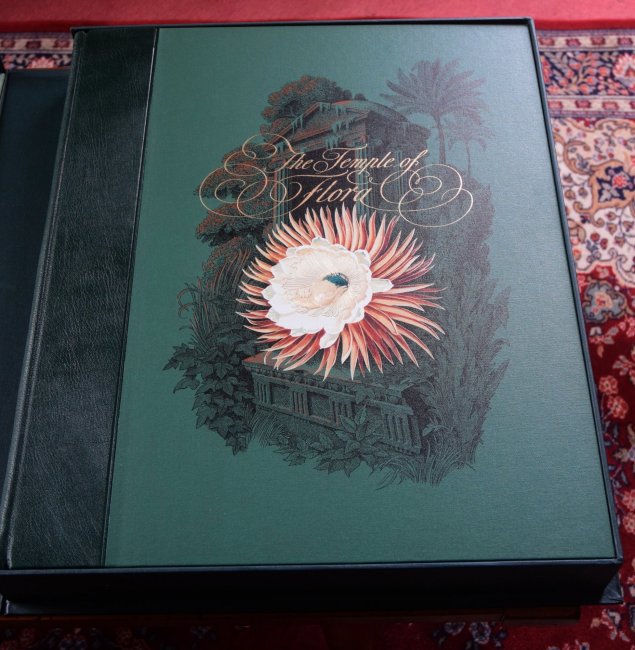 20190115 temple of flora 3