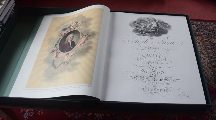 20190115 temple of flora 4