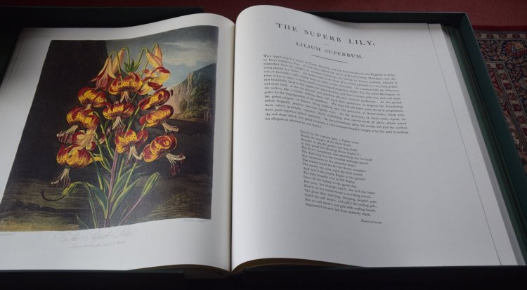 20190115 temple of flora 5