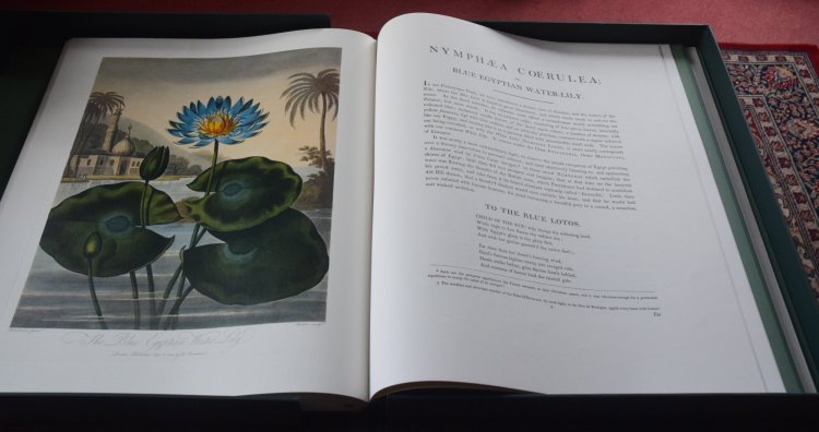 20190115 temple of flora 6