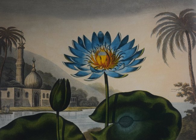 20190115 temple of flora 7