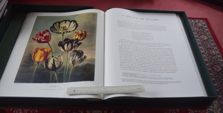 20190115 temple of flora 8