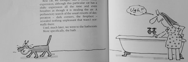 20190903 The unadulterated cat 3