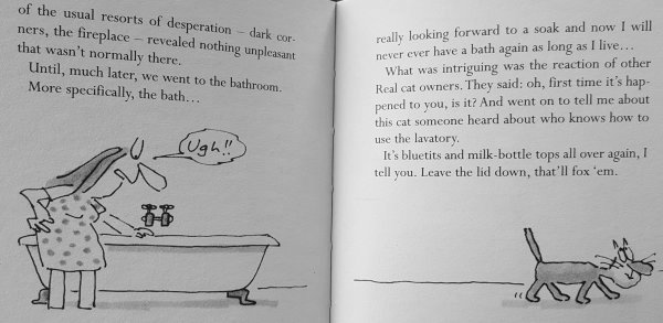 20190903 The unadulterated cat 4