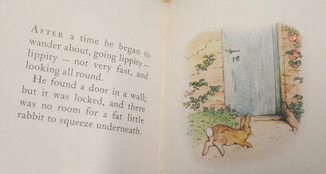 20200310 Peter Rabbit 07