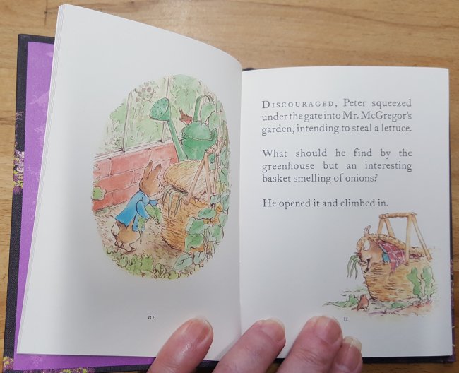 20200310 Peter Rabbit 08