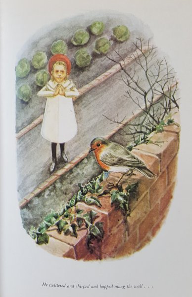 20200721 The Secret Garden 2