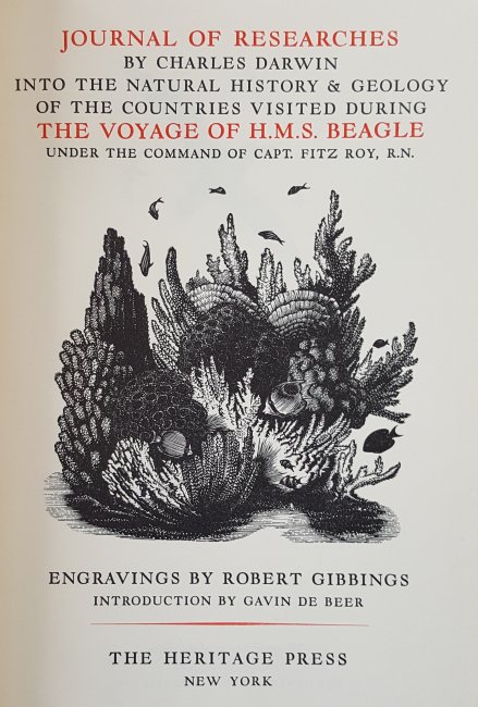 20200818 Voyage of the Beagle 1