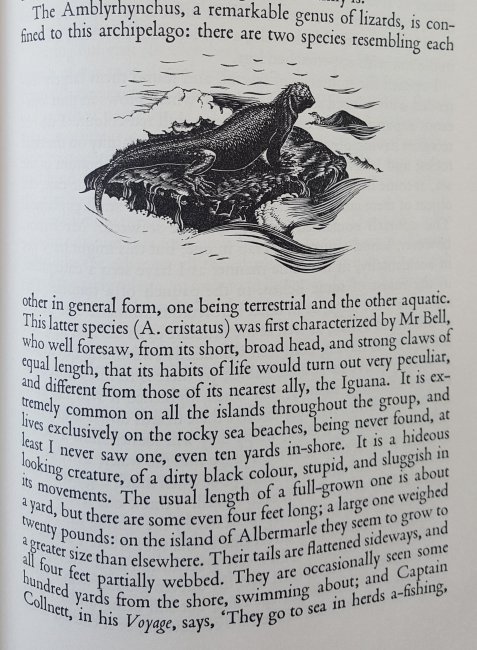 20200818 Voyage of the Beagle 3